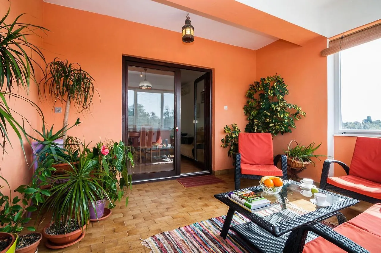Apartments Cvita Углян Хорватия